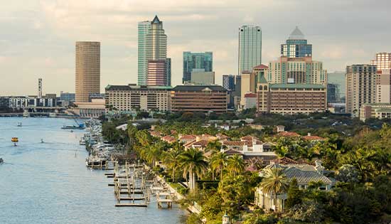 wig-tampa